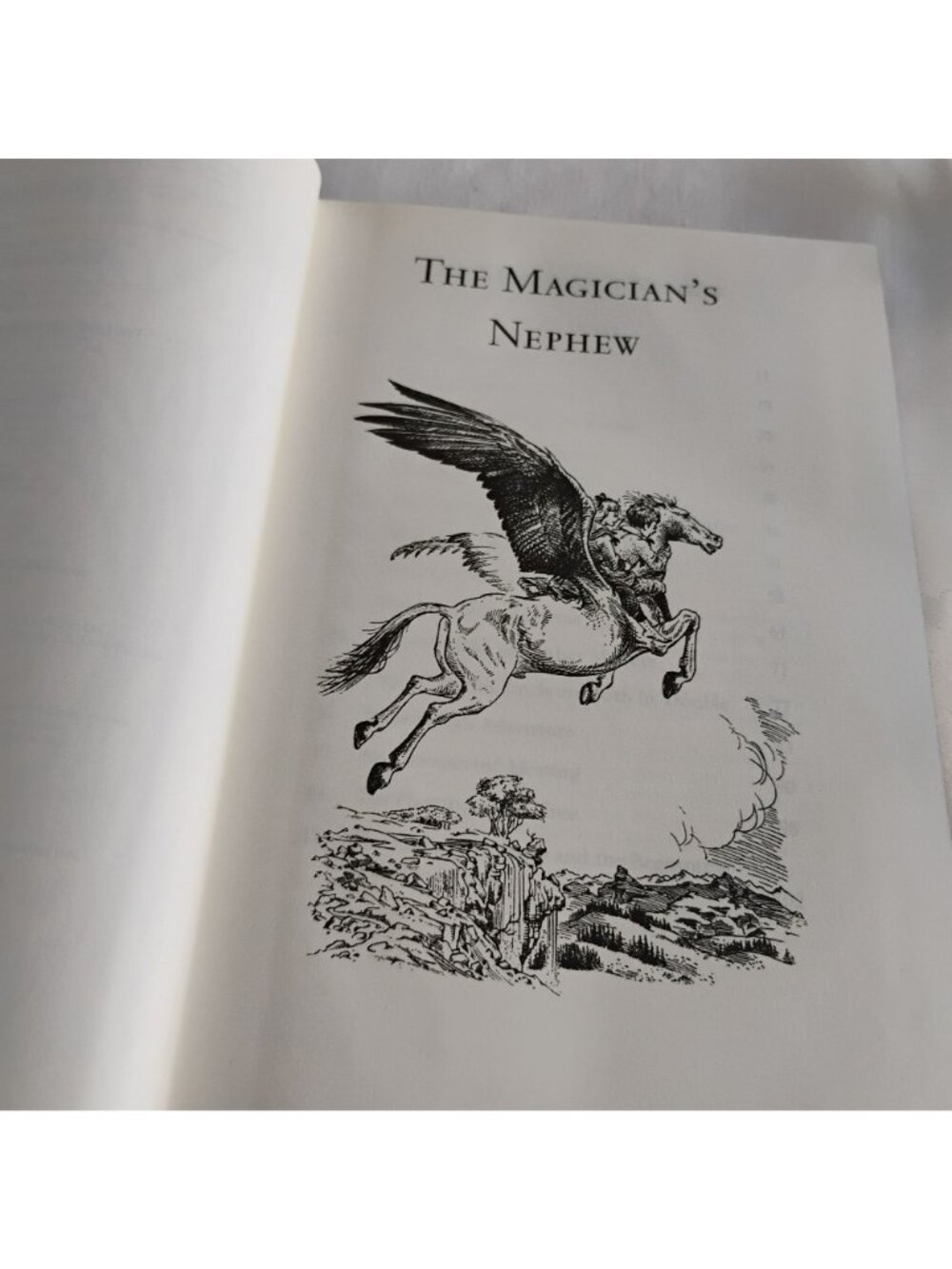 The Chronicles Of Narnia Barnes & Noble Leatherbound Omnibus C.S. Lewis 2010 - Picture 7 of 9